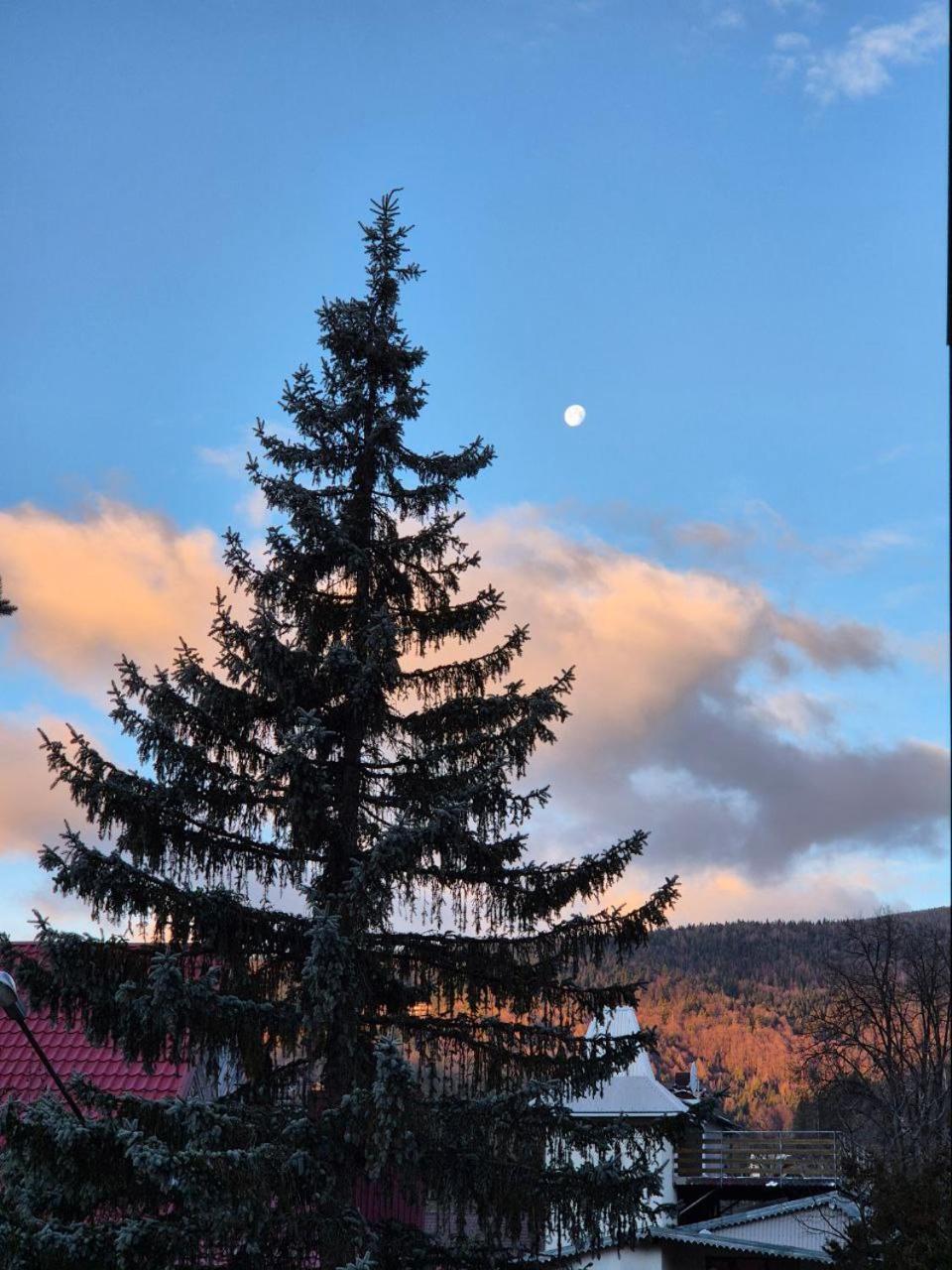 Готель "Yaro" Jaremče Esterno foto